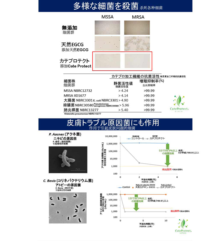 日本检测报告_01.jpg