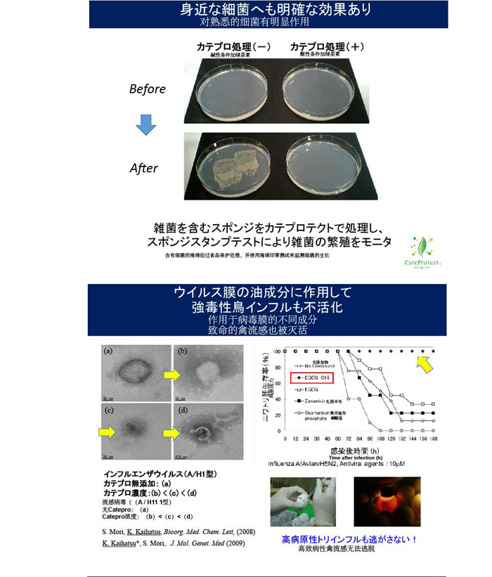 日本检测报告_02.jpg