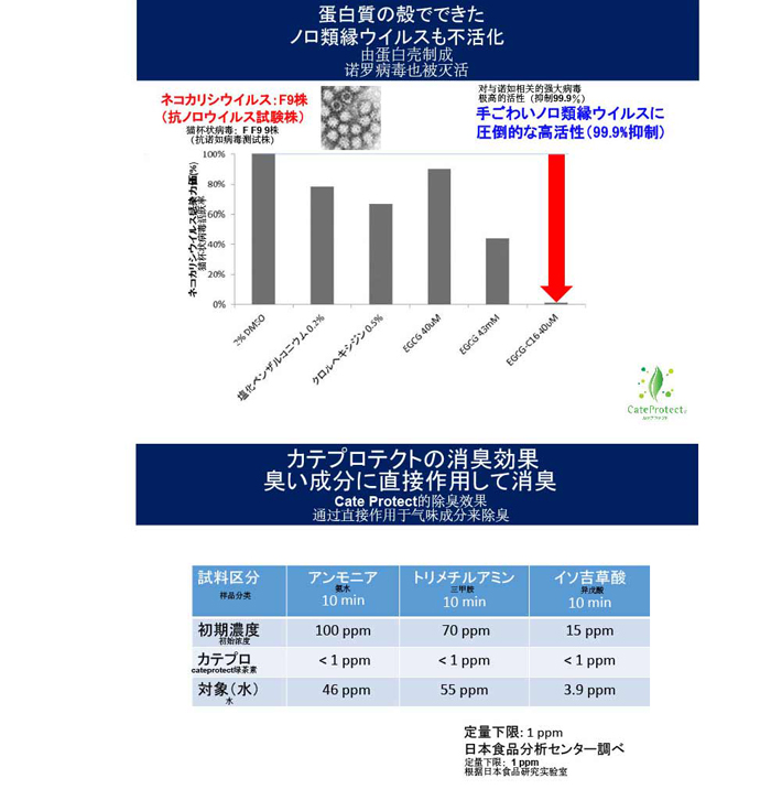 日本检测报告_03.jpg