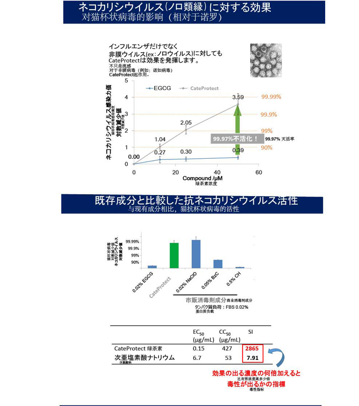 日本检测报告_04.jpg